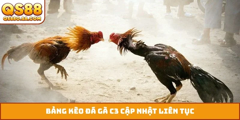 Bảng kèo đá gà C3 cập nhật liên tục