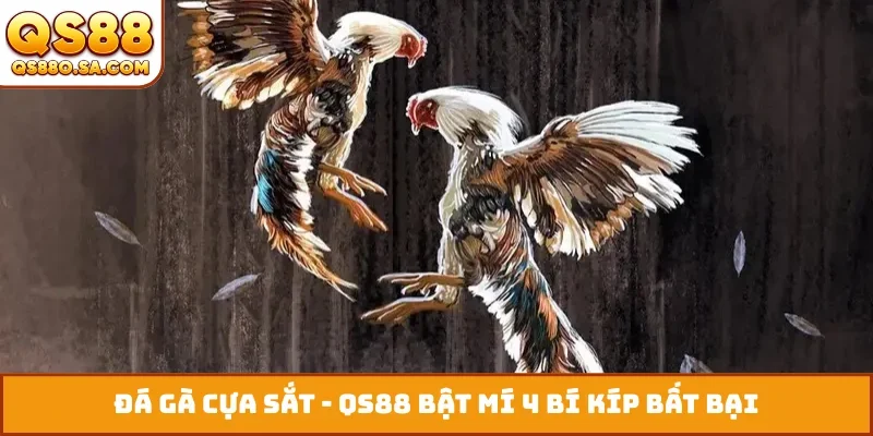 Đá gà cựa sắt
